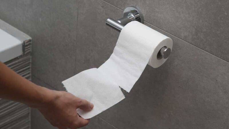 Toilettenpapierhalter: So findest du das perfekte Modell für dein Badezimmer