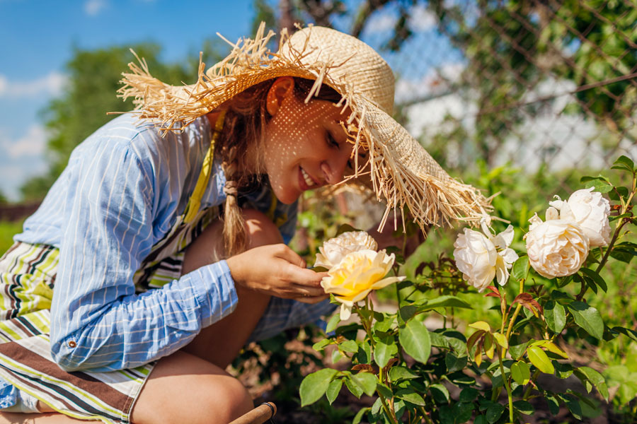 Wie du deinen Garten richtig pflegst: Praktische Tipps für Hobbygärtner